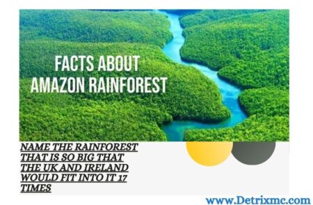 name the rainforest that is so big that the uk and ireland would fit into it 17 times